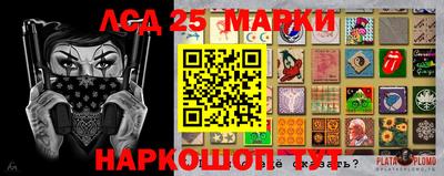 индика Можайск