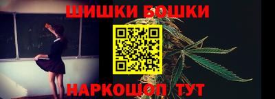 индика Можайск