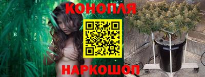 прущие грибы Моздок