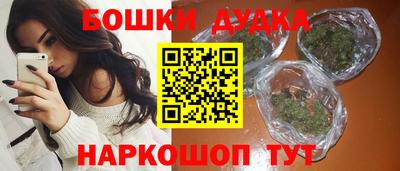 индика Можайск