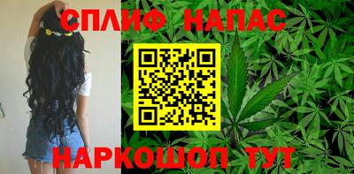 индика Можайск